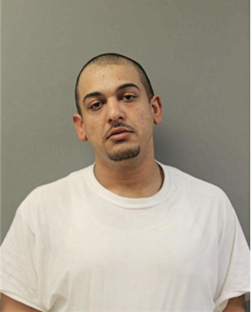 TONY ELY, Cook County, Illinois
