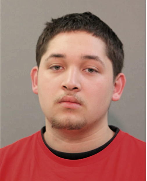 JONATHAN FERNANDEZ, Cook County, Illinois