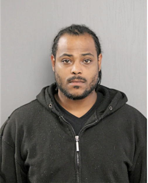 BRANDON N FREEMAN, Cook County, Illinois