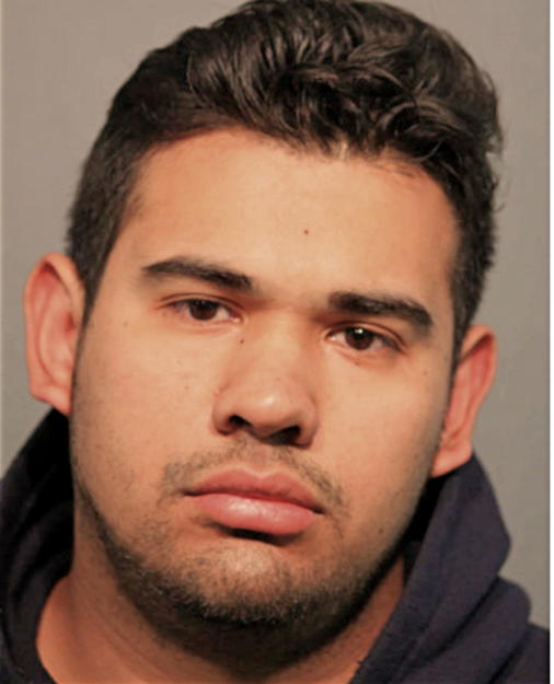 ISRAEL GONZALEZ-GARCIA, Cook County, Illinois