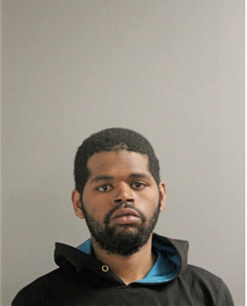 LEMONT T GOUDY, Cook County, Illinois