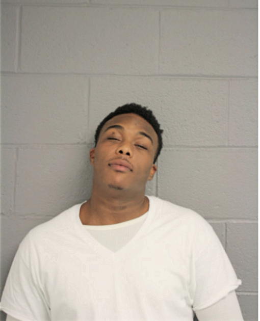 ROBERT L JOHNSON, Cook County, Illinois