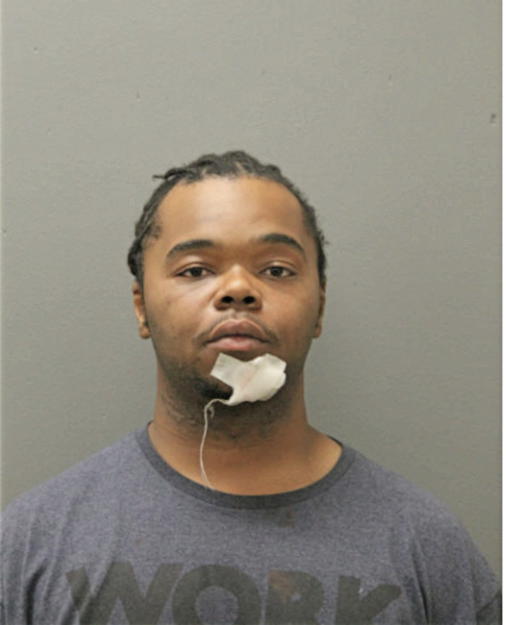 DERRICK L LIGHTSY, Cook County, Illinois