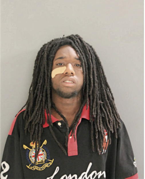 DARNELL J MCGEE, Cook County, Illinois
