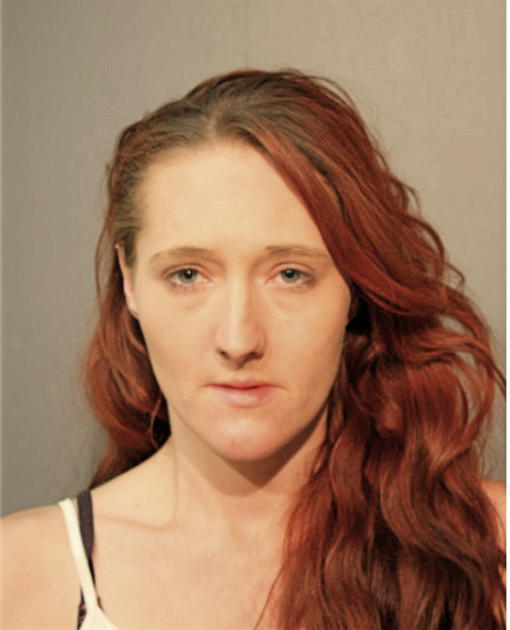 JAMIE OLSON, Cook County, Illinois