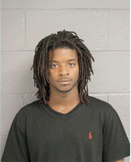 BRADLEY E PITTS, Cook County, Illinois