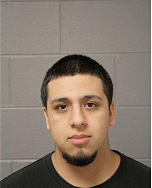 DAVID A ROMAN, Cook County, Illinois