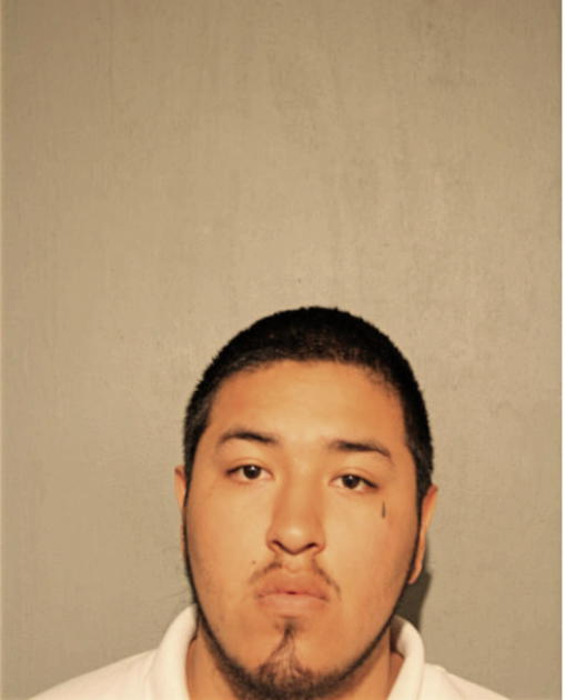 ALGER SANCHEZ, Cook County, Illinois