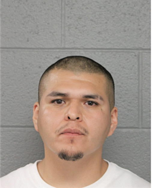 ANTHONY SENDEJAS, Cook County, Illinois