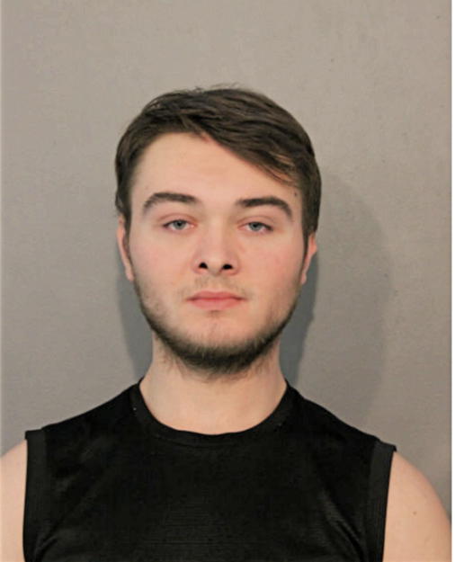 NIKODEM A SERGENT, Cook County, Illinois