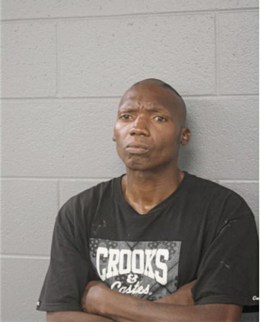 LANICE S THORPE, Cook County, Illinois