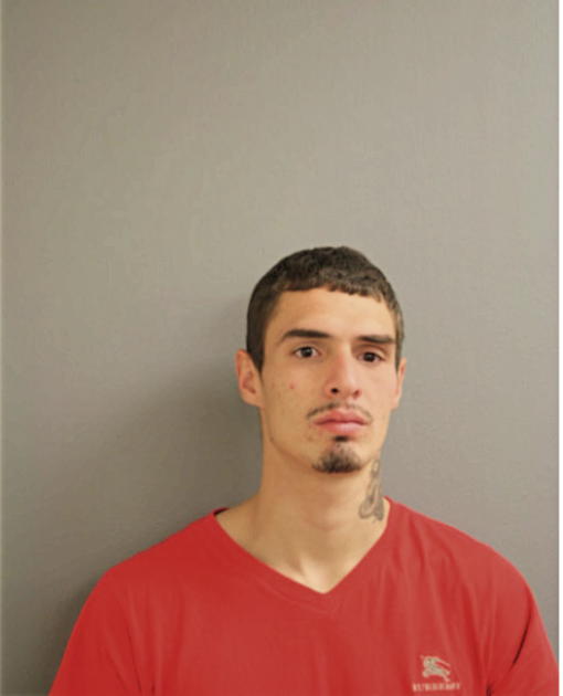 PRIMITIVO TORRES, Cook County, Illinois