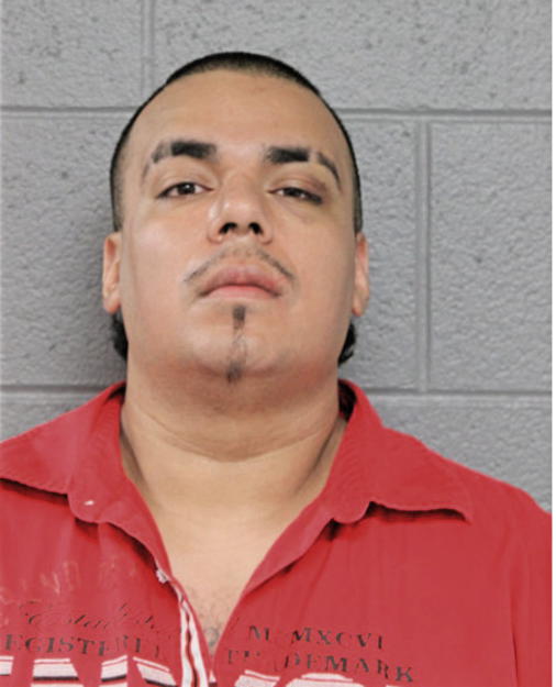 AARON ALMENDAREZ, Cook County, Illinois