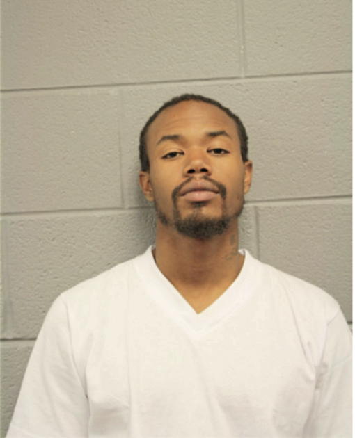 MICHAEL O ANDERSON, Cook County, Illinois