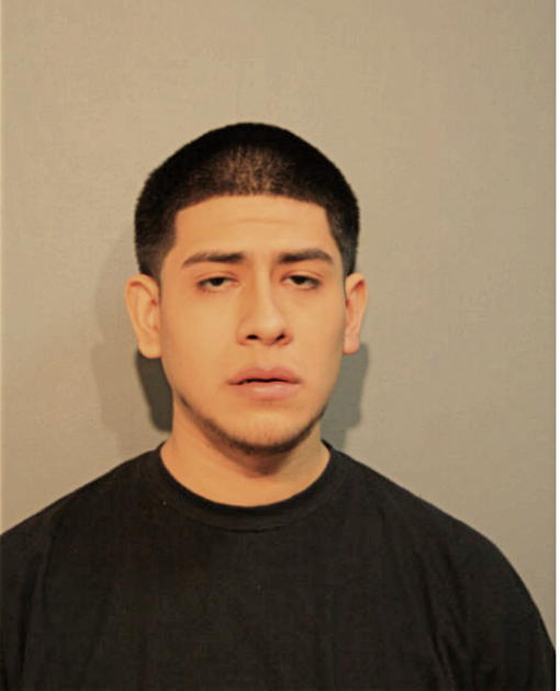 ROBERTO A CHAVEZ, Cook County, Illinois