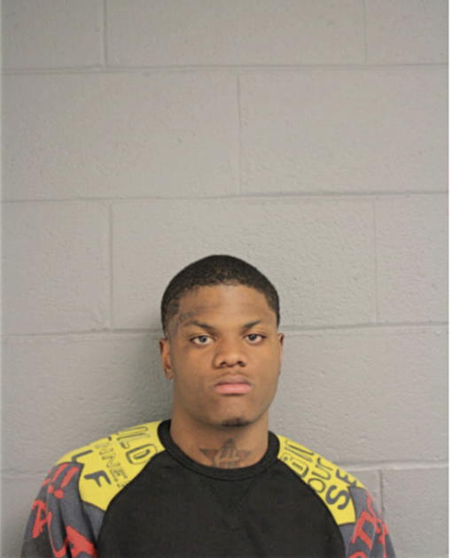 DAVID P DAVIS, Cook County, Illinois