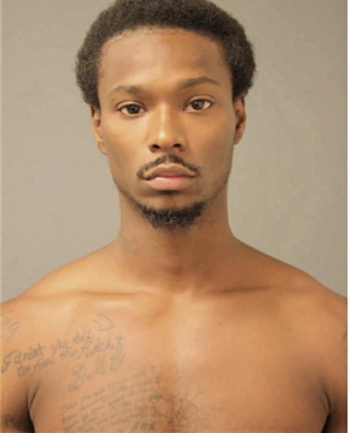 LAURENCE L DOZIER, Cook County, Illinois