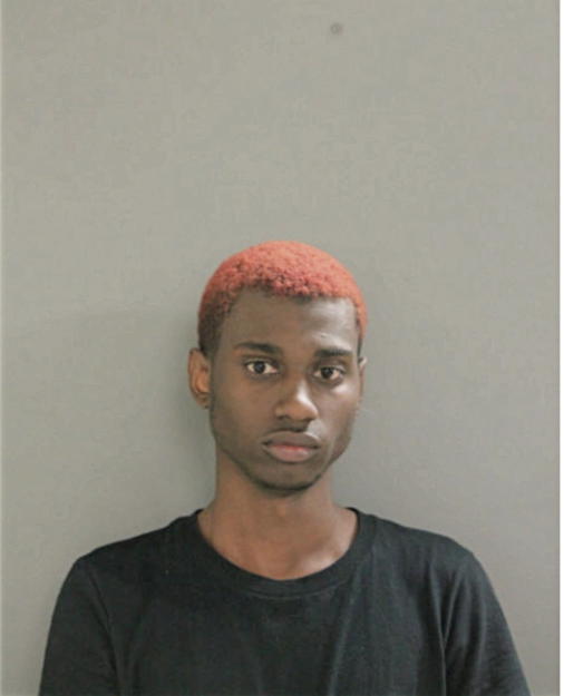 KENDALE L ELLZEY, Cook County, Illinois