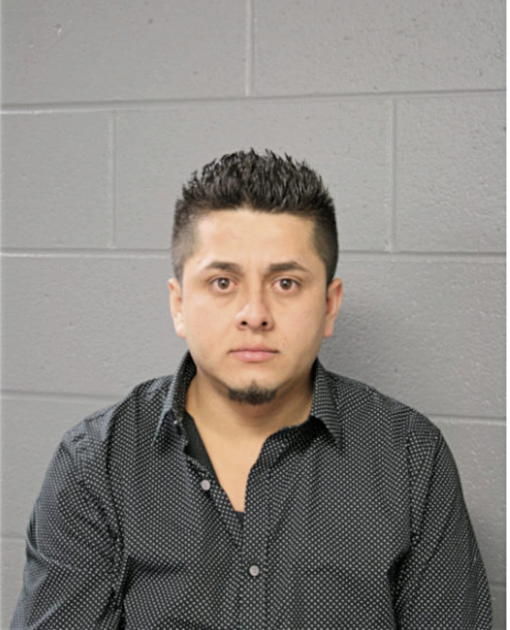 RAMIRO FERRER-TAPIA, Cook County, Illinois