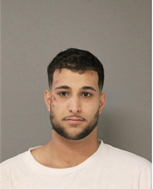 AHMAD M HAMDAN, Cook County, Illinois