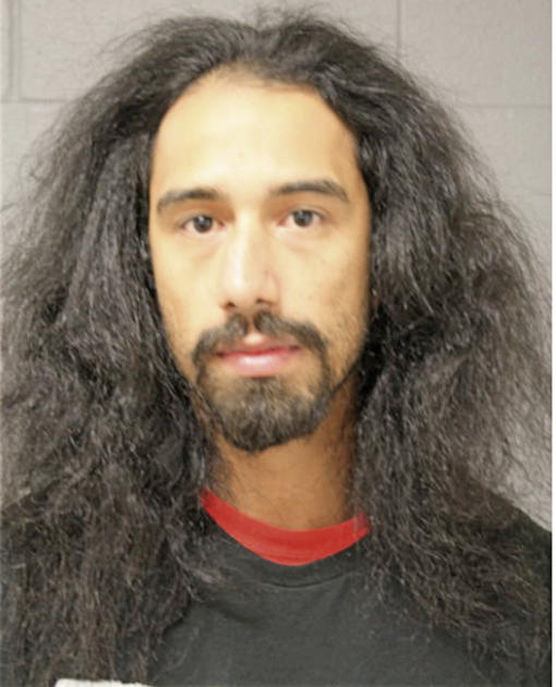 JOSE M HERNANDEZ, Cook County, Illinois
