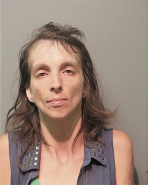STEFFANY L HOLLAND, Cook County, Illinois