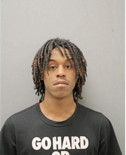 CIJAE L HOLLINS, Cook County, Illinois