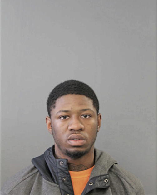 IRVINCENT L HUDSON, Cook County, Illinois