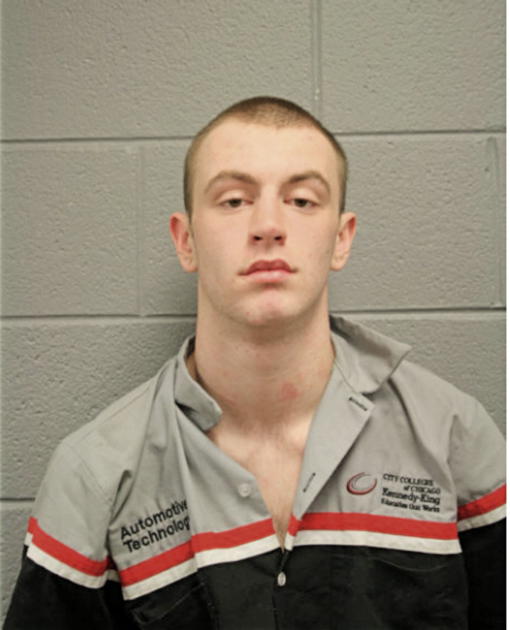 NICHOLAS J LOVETT, Cook County, Illinois