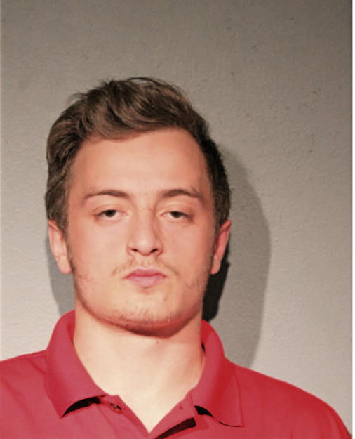 DILLON M BARRETT-RAO, Cook County, Illinois