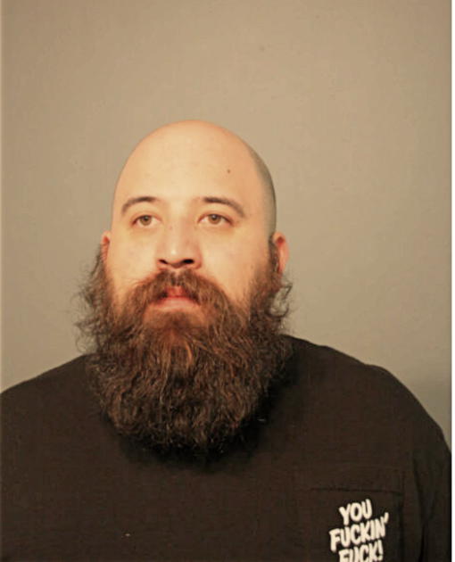 DAVID J MATA, Cook County, Illinois