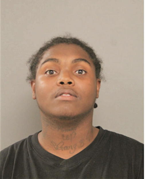 BRANDON K MCGEE, Cook County, Illinois