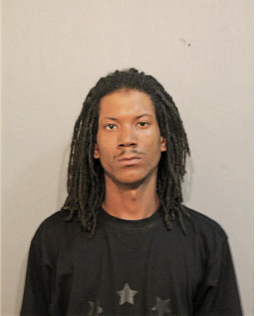 MICHAEL P MEANS, Cook County, Illinois