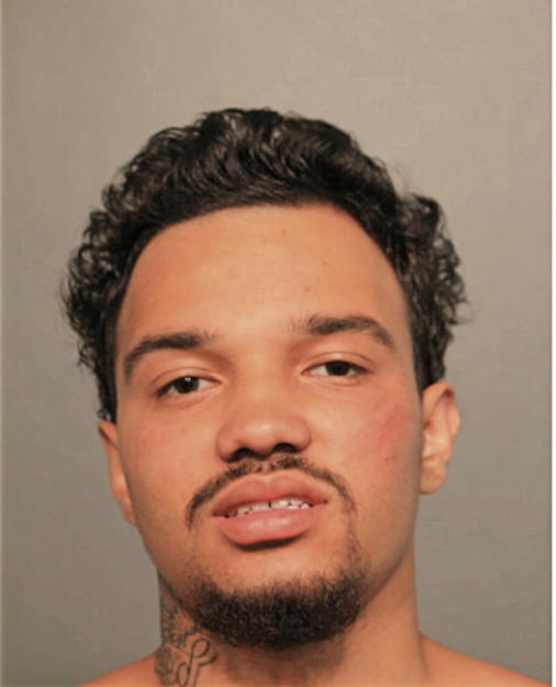 WILLIAM N MERCADO, Cook County, Illinois