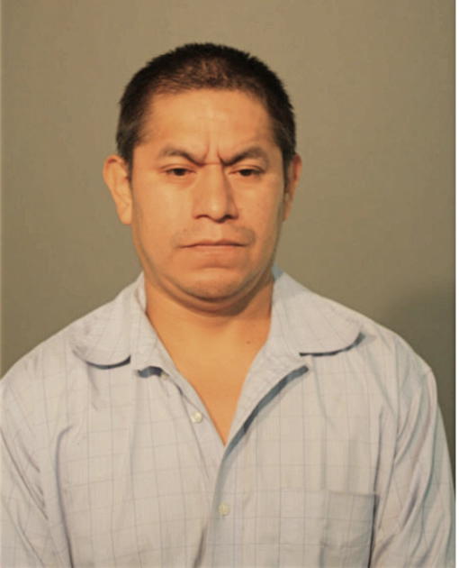 GUADALUPE OCHOA, Cook County, Illinois