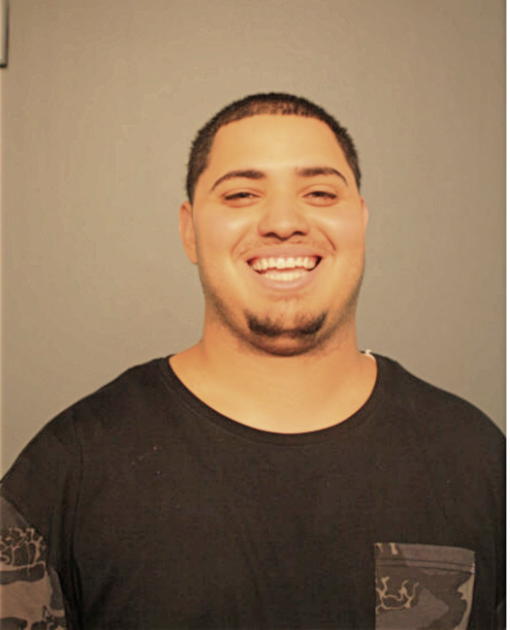 LUIS A ORTIZ, Cook County, Illinois