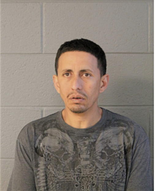 GABRIEL A RAMOS, Cook County, Illinois