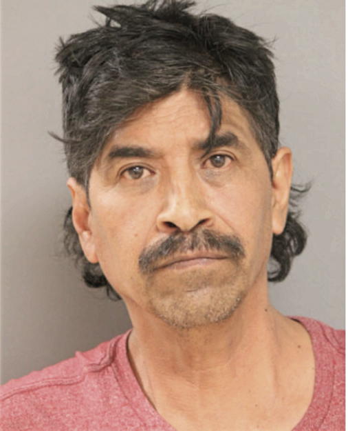 MARIO C ROMO, Cook County, Illinois