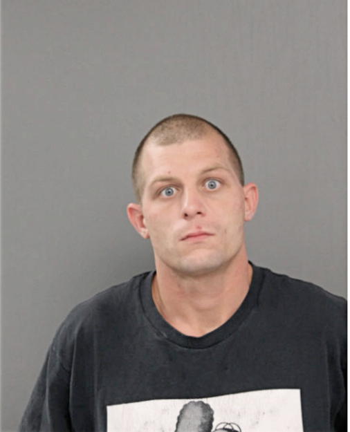 DAVID C YOUNG, Cook County, Illinois