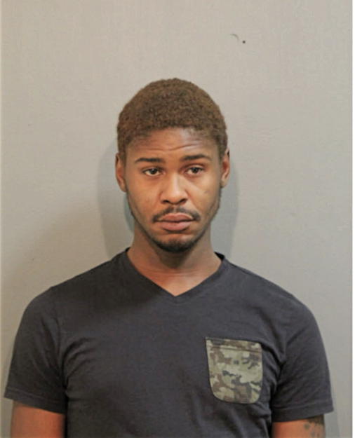 BRANDON E ANDERSON, Cook County, Illinois