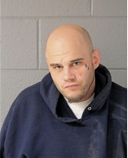 DANIEL ANDREWS, Cook County, Illinois
