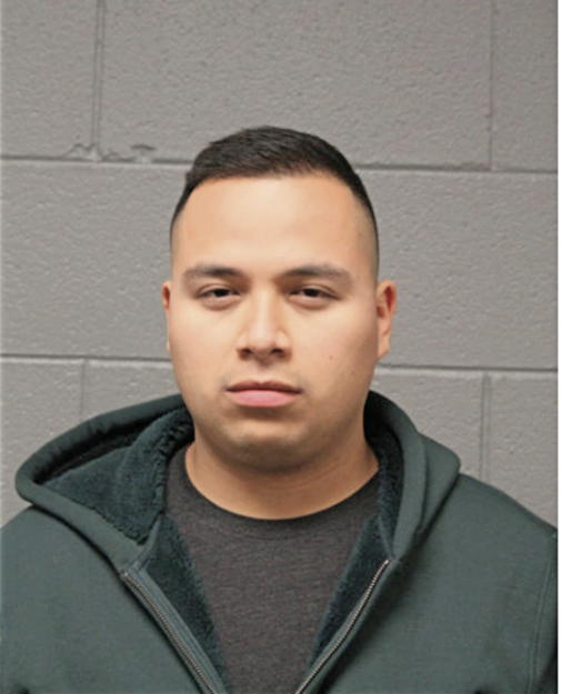 ROBERTO C ARELLANO, Cook County, Illinois