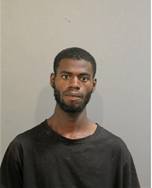 DARIUS B AUSTIN, Cook County, Illinois