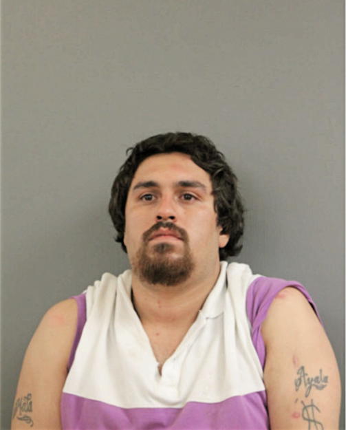 JOSE F AYALA, Cook County, Illinois