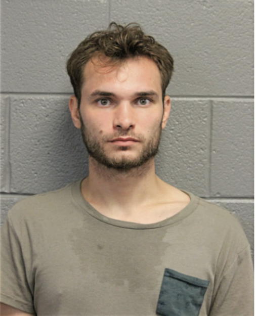 ELVEDIN BLAZEVIC, Cook County, Illinois