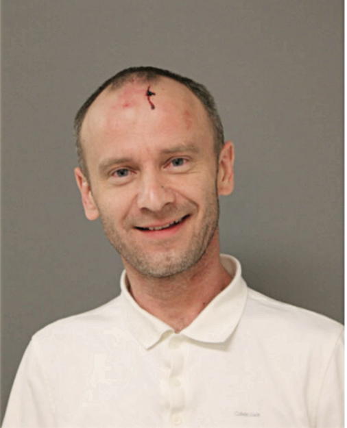 MARIUSZ R DZIEWA, Cook County, Illinois
