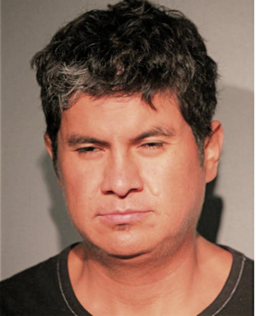 J ANTONIO E VENCES, Cook County, Illinois
