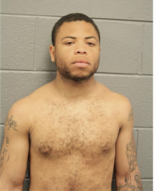 BRIAN M FOSTER, Cook County, Illinois