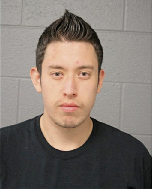 RICARDO A GALVAN, Cook County, Illinois