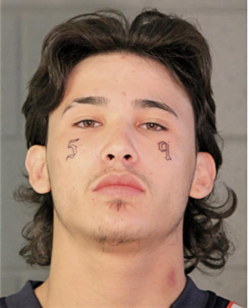 CHRISTIAN A GONZALEZ, Cook County, Illinois